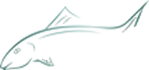 BBG logo of bonefish